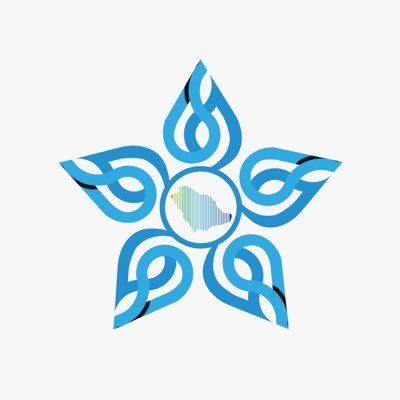 عضو تجمع حائل الصحي | Official account for Al-Shamli General Hospital للتواصل (٠١٦٢٣٩٥٥٥٤)(0162392423)