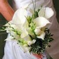 The Old Vicarage (@oldvicaragewed) 's Twitter Profile