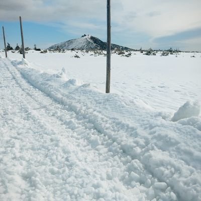 sebasj1910's profile picture. 