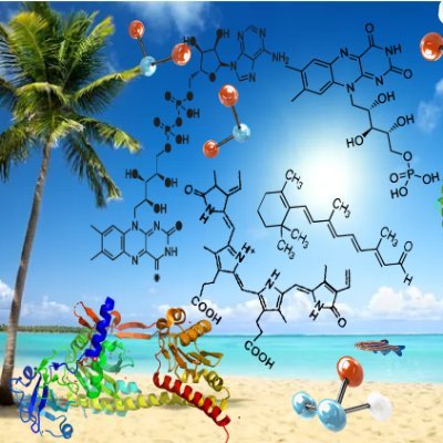 GrcGrs's profile picture. The GRS on Photosensory Receptors and Signal Transduction will take place in 2026 in Ventura Beach Marriott, California, USA!
