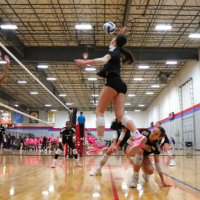 Madelynn Yates (@myatesvb2027) 's Twitter Profile