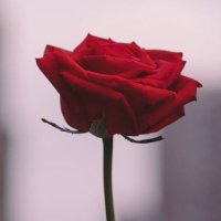 Sd (@ijd1d) Twitter profile photo