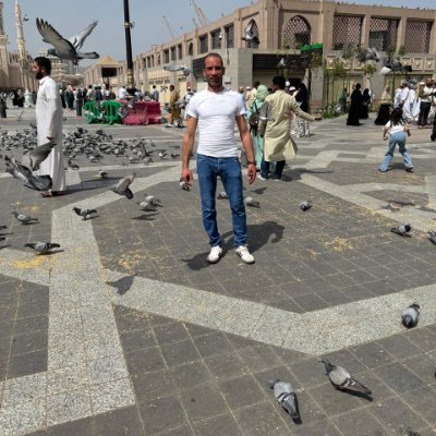 hanyalashry's profile picture. 