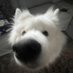 BubbleG (@bubbleg924) Twitter profile photo BubbleG (@bubbleg924) Twitter profile photo