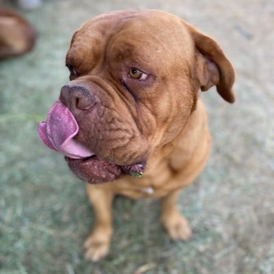 HugoSanche80842's profile picture. 