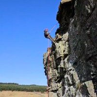 NestingUpNorth (@nestingupnorth) 's Twitter Profile