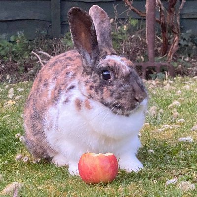 Willyninetyfour's profile picture. Was willy94 rip lost my password lol