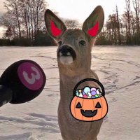 Z*Y (@thatcomicfan3) 's Twitter Profile Photo