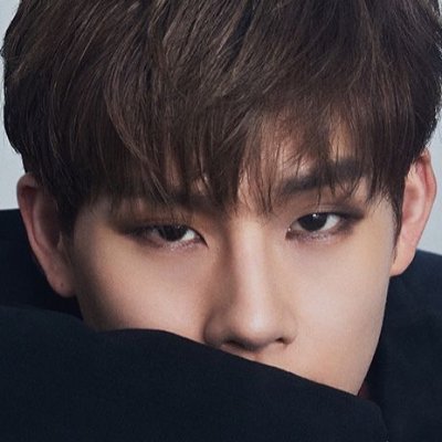 “You were never just a dream. You were the warning.”
¿Y si este daydream no quiere que despierte? #MonstaX #jeffsaturn #yinwar