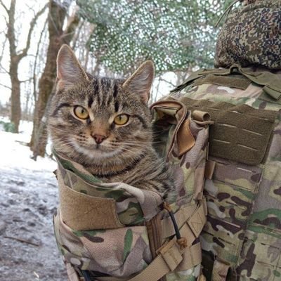 Musulmán إلا الله أكبر , me gusta el vino, AMLOVER, antifacho, Dir. gral de AICH🇲🇽🇵🇸 🇷🇺 Z