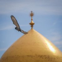 ادريس المهندس (@adrysalmhn10561) 's Twitter Profile