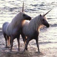 mason. ⚔️🚬🪰 shedtwt. (@undeaduniicorn) 's Twitter Profile
