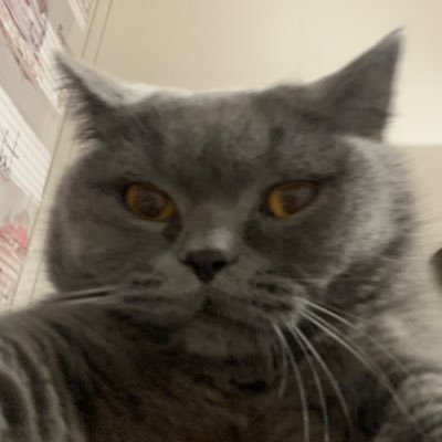 defsoob's profile picture. ‧₊˚ ☁️⋅♡𓂃 ࣪ ִֶָ☾.