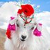 maya mhisa (@mayamhisa) Twitter profile photo maya mhisa (@mayamhisa) Twitter profile photo