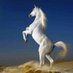 abdullah zeen AL AbdIn (@ayyana3974) Twitter profile photo abdullah zeen AL AbdIn (@ayyana3974) Twitter profile photo