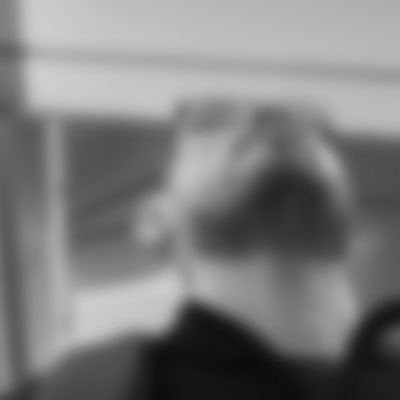 Daniel Profile
