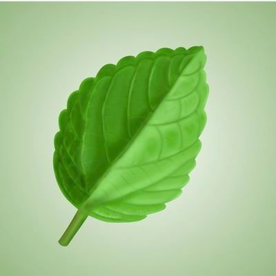 neusac's profile picture. EFL Teacher