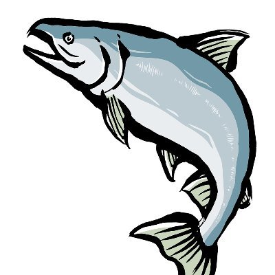 miyako09876's profile picture. いつか津軽石川に帰る鮭。