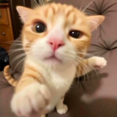 hamさんのプロフィール画像