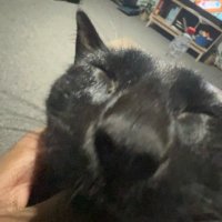 ImamZ (@imamfnr) 's Twitter Profile