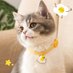 かわいい猫 (@loversjapanese3) Twitter profile photo かわいい猫 (@loversjapanese3) Twitter profile photo