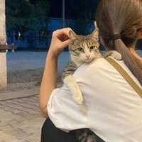 Qelo (@qelo3497) 's Twitter Profile