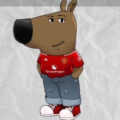 prosper_promo's profile picture. Manchester united 100%