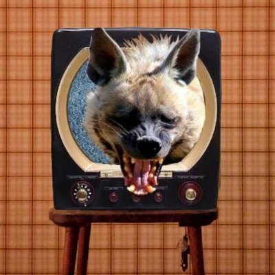 speakeasylive's profile picture. 