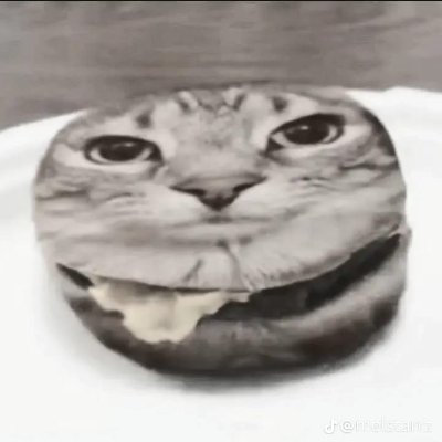 ValentinF53607's profile picture. 