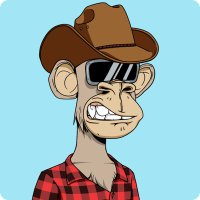 kolbΞd.eth 🍌 (@__kolb) 's Twitter Profile