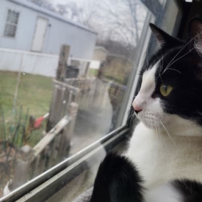 michelle_b51112's profile picture. 