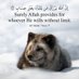 Muhammad auwal (@mhdauwl) Twitter profile photo Muhammad auwal (@mhdauwl) Twitter profile photo