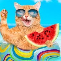 suckerpunxxx (@realsuckerpunx) 's Twitter Profile Photo suckerpunxxx (@realsuckerpunx) 's Twitter Profile Photo
