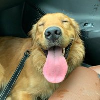 jim (@jimbarkdun) 's Twitter Profile