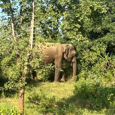 Tristan1947's profile picture. 