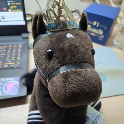 cateaticeKeiba's profile picture. horse racing fan from taiwan
シーザリオの血族とオルフェーヴル母父血統を中心に応援📣
ハルーワソング牝系やミュージカルウェイ牝系にも注目✨
ダートレースを多めにフォロー🏇💨 最推しはドゥラエレーデ🔥
主に英語と中文で投稿📝
