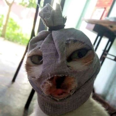 flakeyroticanai's profile picture. Yaya cakap I funny