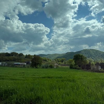 MEHMETYAVUZmy's profile picture. 