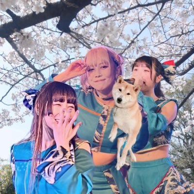 okyc_bish's profile picture. 千鳥ノブりん新規の永久清掃員🧹ノブを推してなければWACKを知る事はなかったと思う🥹BiSHロス→ユユロス→SOMO2🍊🍓軸はアイナ🐶
