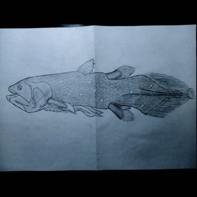 watashi_techno's profile picture. M23でJAZZ研でドラムでアコギで作曲で音楽で私テクノ 活動垢→@NEO_watashi