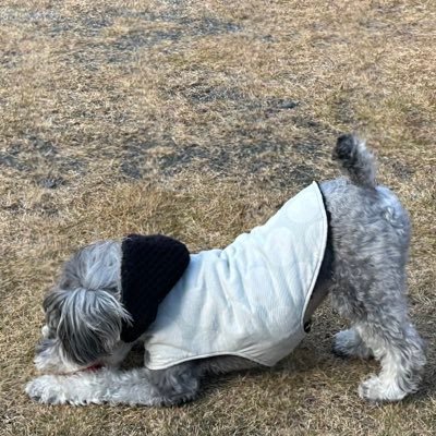 yakn54514593's profile picture. 2025.02突然推しができて戸惑っているオバ