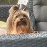 Plimmargarida's profile picture. 