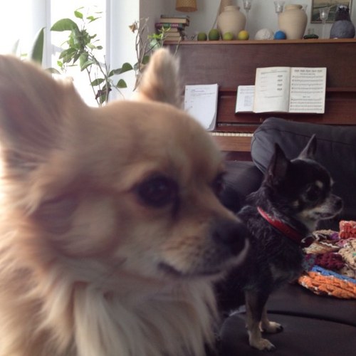 gbm1979's profile picture. 