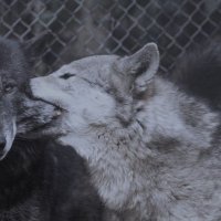 Β°ββzee.ΰ³ΰΏ*:ο½₯ (@3zilion) 's Twitter Profile Photo Β°ββzee.ΰ³ΰΏ*:ο½₯ (@3zilion) 's Twitter Profile Photo