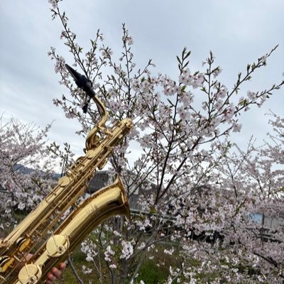 玉葱さんのプロフィール画像
