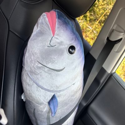 tomy38399's profile picture. ゆるサッカー好き🔰。代表戦。TAKE。小林心。高知ユナイテッドSC推し。ジンベーニョ推し。基本アウェイ。サポ活。高知サポ猫部所属。