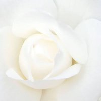 いちいちにーきゅー (@112900626856k) Twitter profile photo