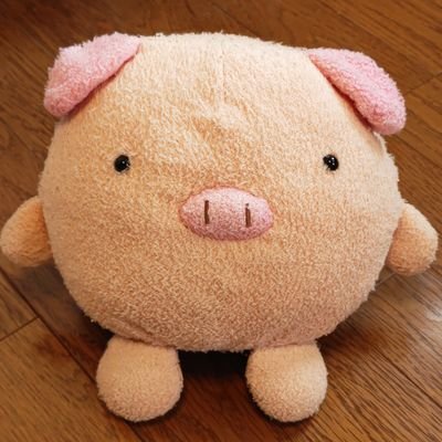 boo67749's profile picture. ぬい活垢です