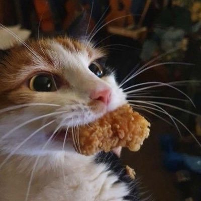 MoonbeamsSLL's profile picture. 