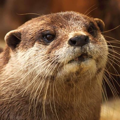 hi :)
Du bist Mist!
PSA: https://t.co/Ev5VwJxbf9